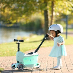 Porteur Mini 2Go MICRO : Comparateur, Avis, Prix 7 Porteur Mini 2Go MICRO : Comparateur, Avis, Prix -Baby Gear Soldes 12e378edfa0852aa545c4fe7fd0c