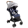 Poussette Canne Hydra WILLIAM KENT : Comparateur, Avis, Prix -Baby Gear Soldes bf42daa2d2bbe757c130e49e4399